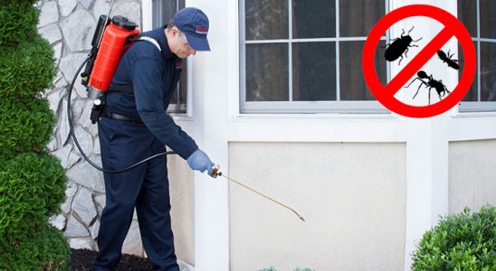Digor Dezenfeksiyon böcek ilaçlama ve haşere kontrolü — ilaclama-tr.com